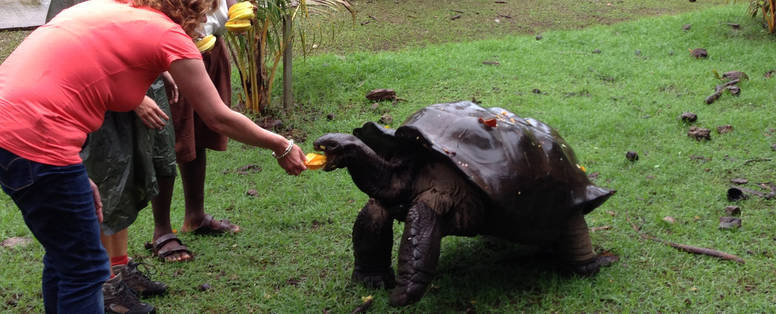 Paul_Maarseveen__Seychellen