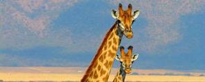 Giraffe_grid