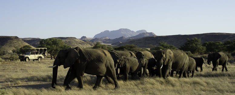 Damaraland_2012-01-092_wilderness