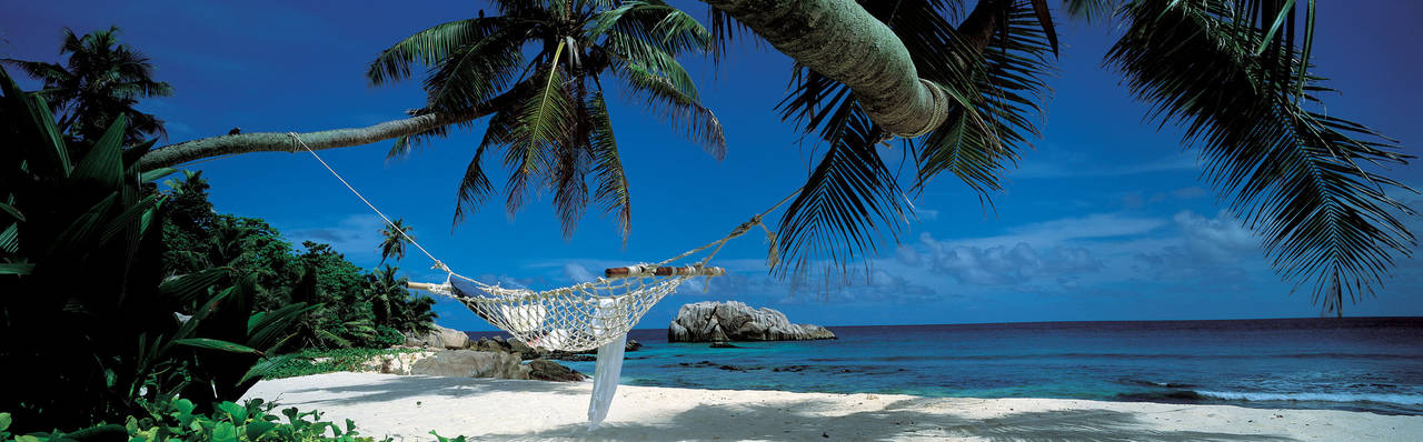 HAMMOCK-Cousine
