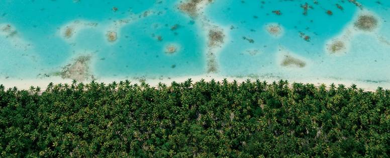 FP_-_Tuamotu_motu___lagune_T._McKenna_14682-p19g3t8bms238u3jct677510ph