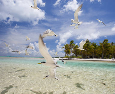 FP_-_Tikehau_Benjamin_Thouard_21097