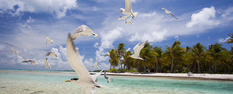 FP_-_Tikehau_Benjamin_Thouard_21097