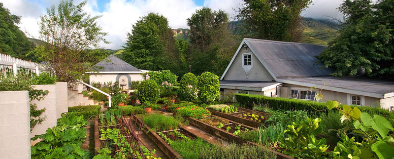 moestuin