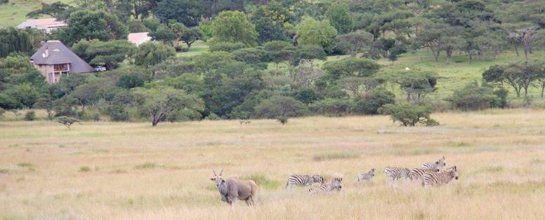 Lodge_with_Eland_and_Zebra