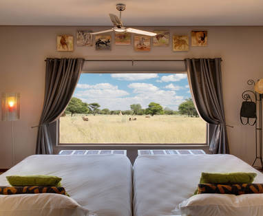 view_room2
