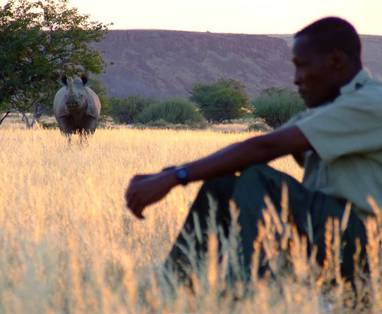 black_rhino_damaraland