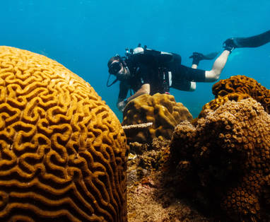 Diving-in-Con-Dao2__5413-ORIGINAL_