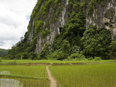 EXO_1018_Nong_Kiaw_surrounding