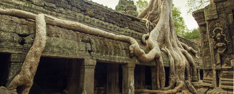 AA_2_Without_Crowds_-_Ta_Prohm