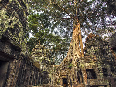 AA_1_Without_Crowds_-_Ta_Prohm