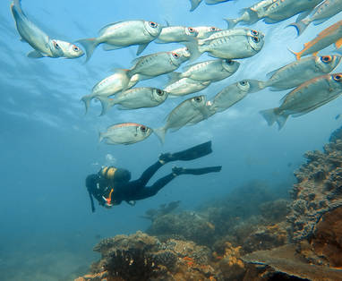 Benguerra-Island-Scuba-Diving-1