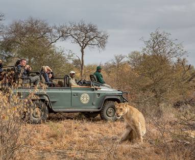 Safari_3