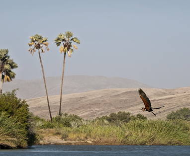 Serra_Cafema__WildernessSafaris20