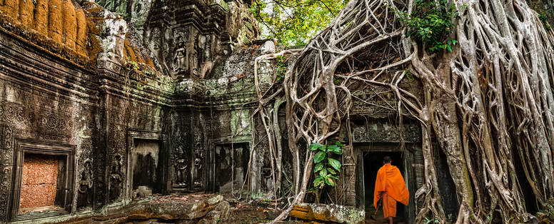 AA_Ta_Prohm_-_Monks_and_Tree_roots