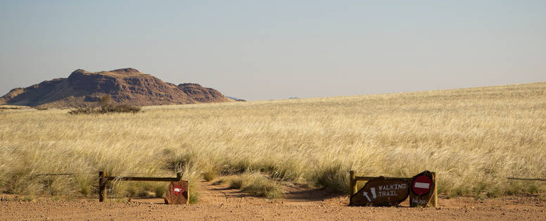 wandelpaden bij Desert Camp in Namibië