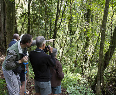 cc_chelinda113_-_copy1