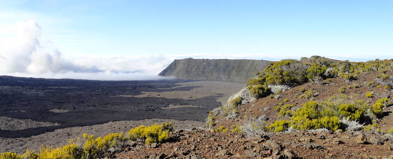 Hoogtepunt_Nieuwenhuis_Reunion