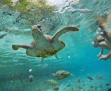 P2_02_BORA_BORA_00818