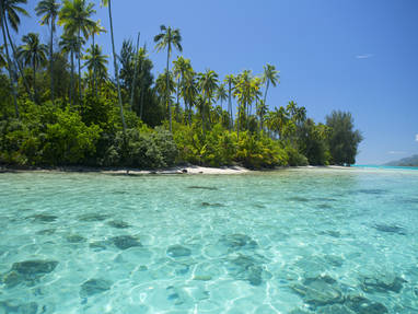 P2_08_MOOREA_00412