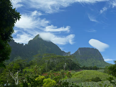 P2_08_MOOREA_00757