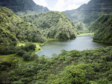 P2_08_TAHITI_Divers_TNH_(206)_©_Grégoire_Le_Bacon_Tahiti_Nui_Helicopters_(1)