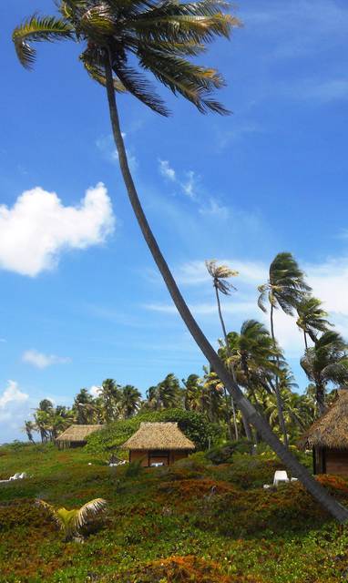 Fakarava_Raimiti_Crusoe_3