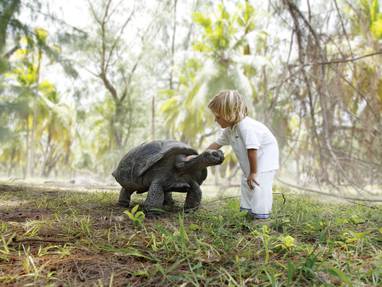 Boy_with_turtle