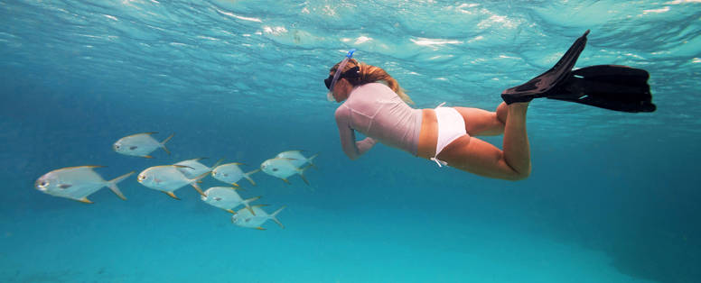 BlueSafari-alphonse-snorkelling-19-AnthonyGrote
