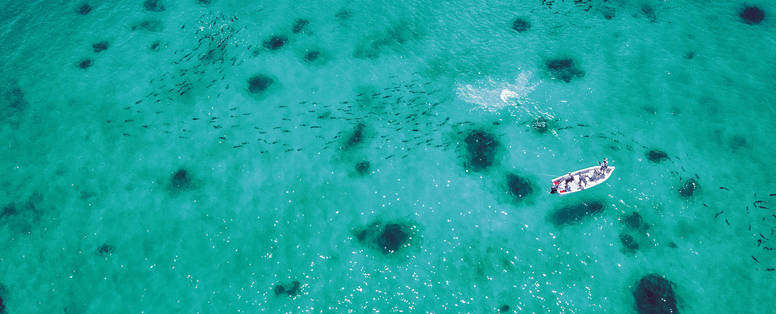 AFC-cosmoledo-flyshing-scenic-03-TalwegCreative