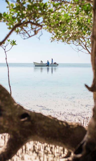 BlueSafari-cosmoledo-scenic-20-JoshuaHutchins