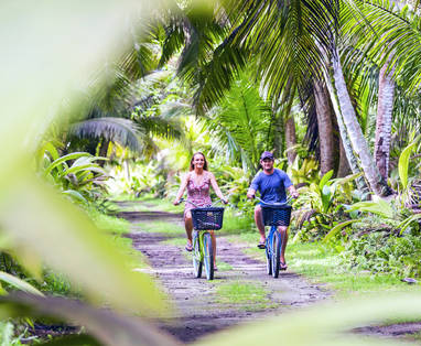 BlueSafari-alphonse-cycling-02-AnthonyGrote