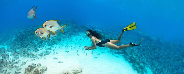 BlueSafari-alphonse-snorkelling-45b-FionaAyerst