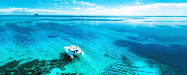 BlueSafari-alphonse-ocean-cruising-07