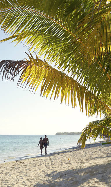 Tamanu-Beach-Beach-views