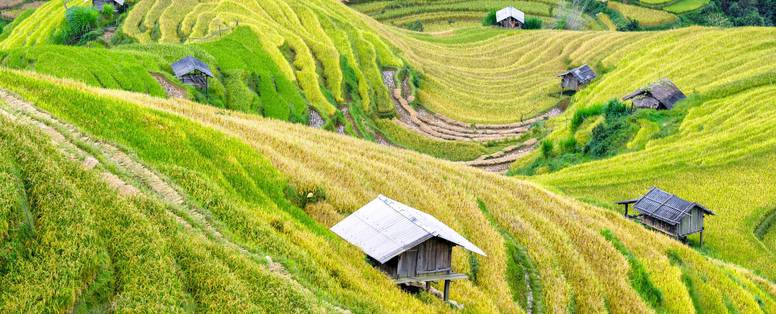 agriculture-country-countryside-crop-572741