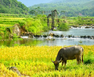 VN_Thanh_Lam__Puluong_retreat_Vietnam_landscape1