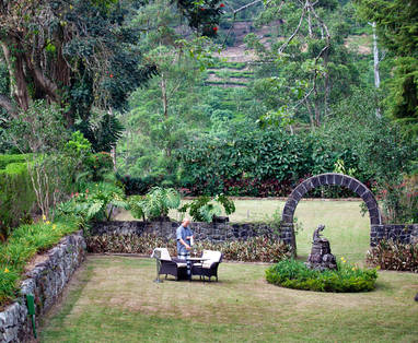 Tea_Trails_gardens_7