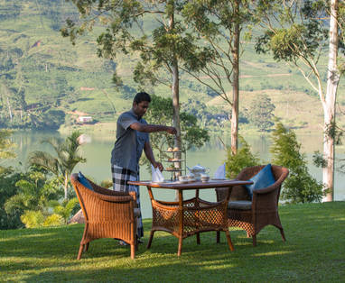 Tea_Trails_gardens_14