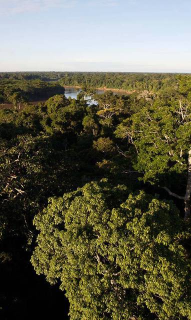 PE_refugio_amazonas_amazone_AMAZON-LECTURES