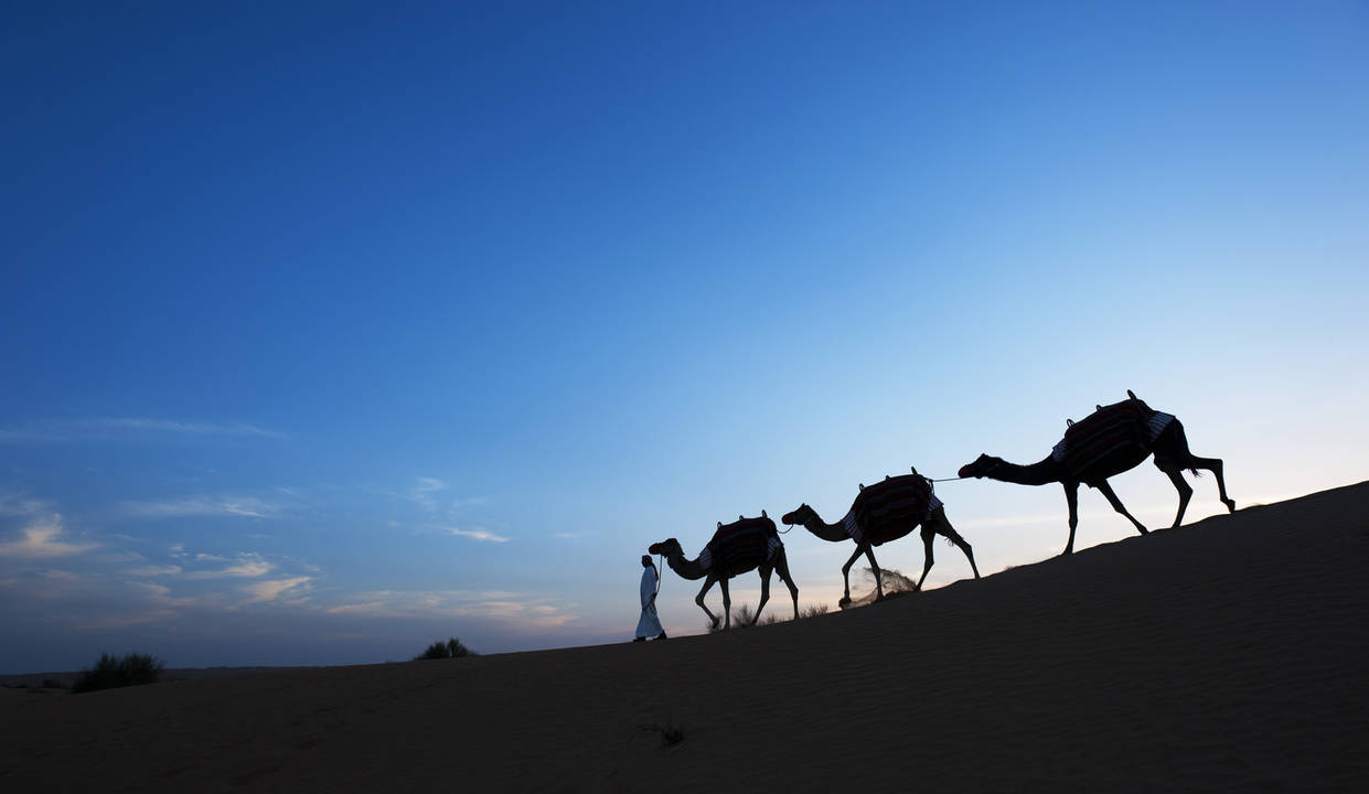 Camel_Trekking