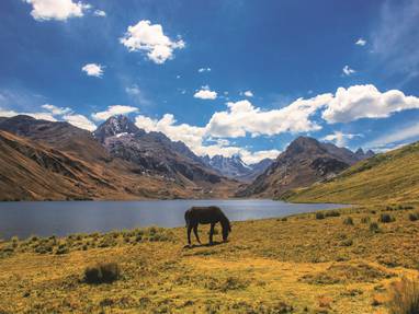 CO_PE_huaraz_omgeving_001_ME7A2778Huaraz_(2)