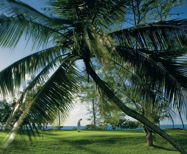 Golfen op Ile Aux Cerfs