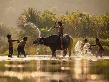 CM_4_Rivers_Floating_Lodge_Cambodja_koe_children-playing-in-water-with-cow-at-koh-andet