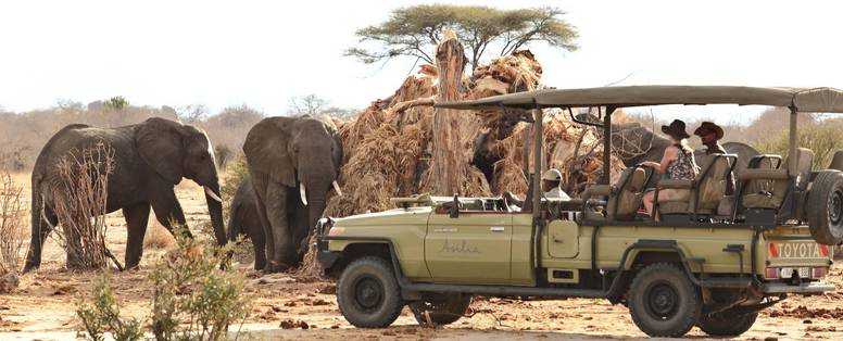 Olifanten safari Ruaha National Park in Tanzania