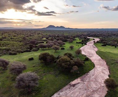 De rivierbedding Jongomero Ruaha National Park Tanzania