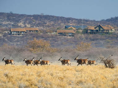 vooraanzicht lodge bij Safarihoek in Namibië