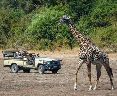 safari bij Nkwali Camp in zambia