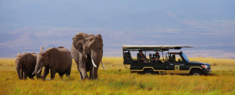 Tortilis_Camp__safari