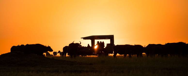 GreatPlains-Kenya-MasaiMara-30